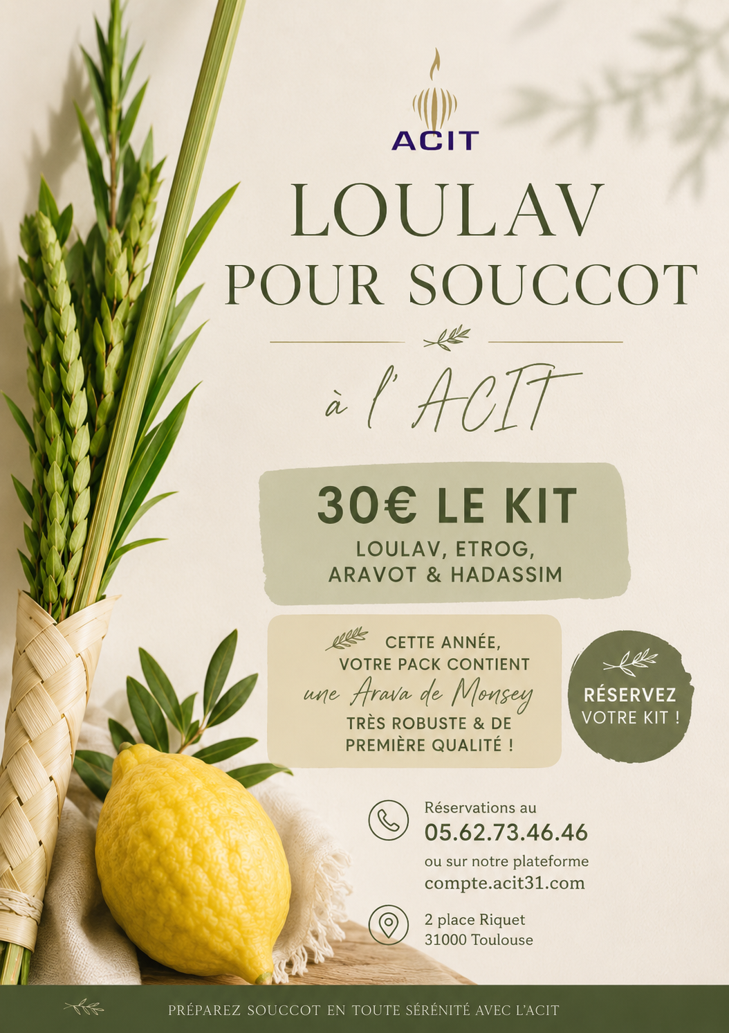 Loulav Kit 2026